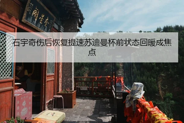 石宇奇伤后恢复提速苏迪曼杯前状态回暖成焦点